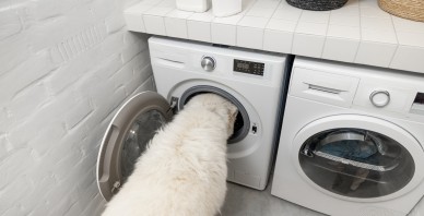 Divu eiro monēta sabojā veļasmašīnu jeb amizantākie apdrošināšanas gadījumi